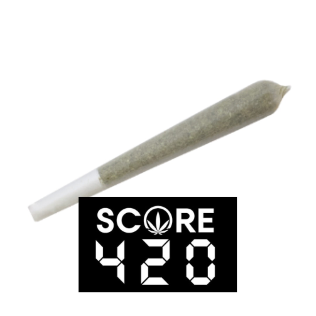 S420 Permanent Marker Preroll 1g